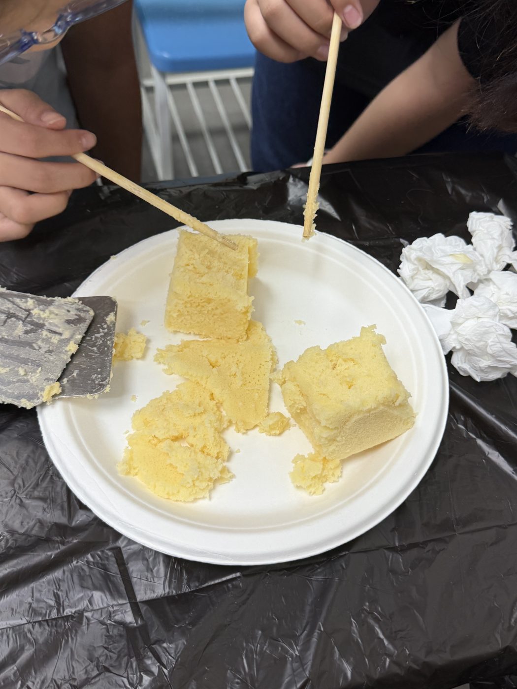 暑期實驗課現場